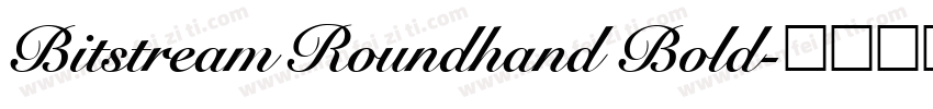 Bitstream Roundhand Bold字体转换